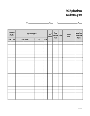 Accident Register Template  Form