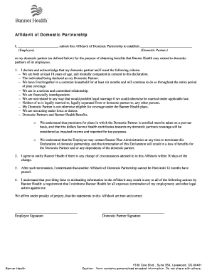 Domestic Partnership Affidavit Template  Form