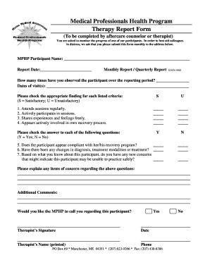 Therapy Report Template  Form