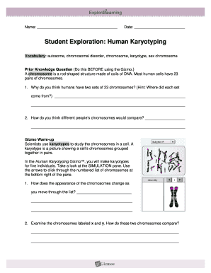 Gizmo Human Karyotyping  Form