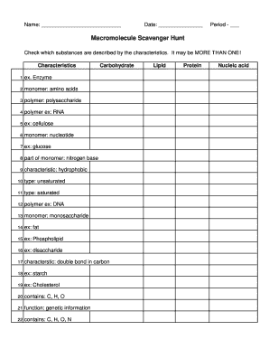 Macromolecule Scavenger Hunt  Form