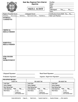 Lifeguard Audit Checklist  Form