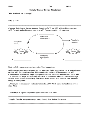 Cellular Energy Review Worksheet  Form