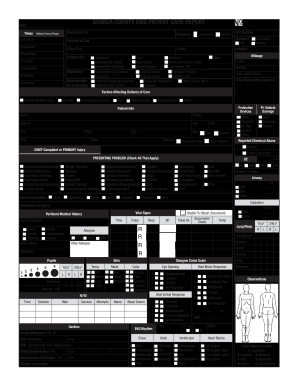 SeneCA COunty EMS PAtIent CARe RePORt DAte Senecadps  Form