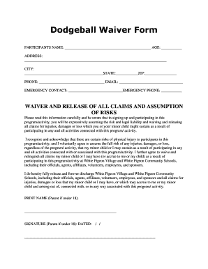 Dodgeball Waiver Form Bwpcschoolsbborgb