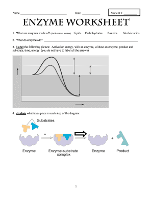 Enzyme Worksheet Answer Key  Form