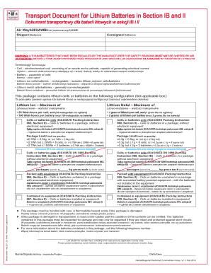 Transport Document for Lithium Batteries in Section Ib and Ii  Form