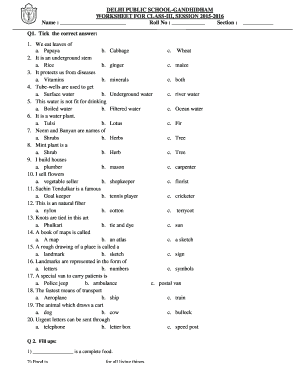 Delhi Public School Worksheets Class 3  Form