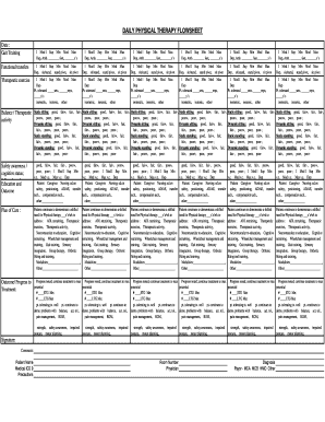 Physical Therapy Flow Sheet  Form
