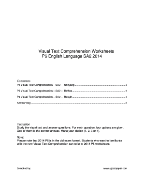 Visual Text Comprehension Worksheets  Form