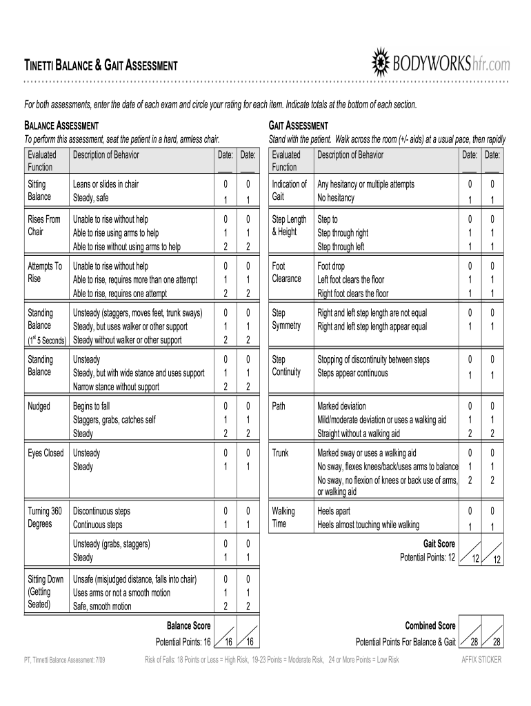  Printable Tinetti 2009-2024