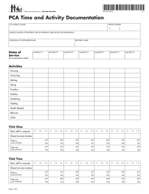 Pca Timesheet Template  Form