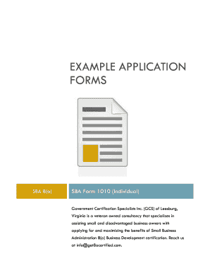 Sba Form 1010 Ind