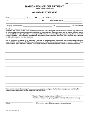 Voluntary Statement Example  Form