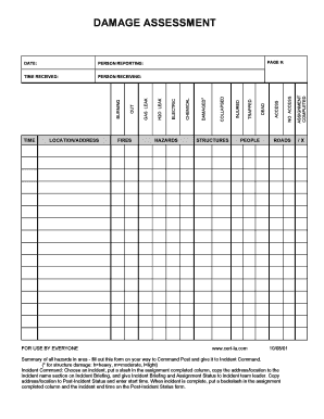 Damage Assessment Template  Form