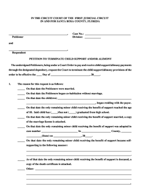 Florida Terminate Child Support  Form