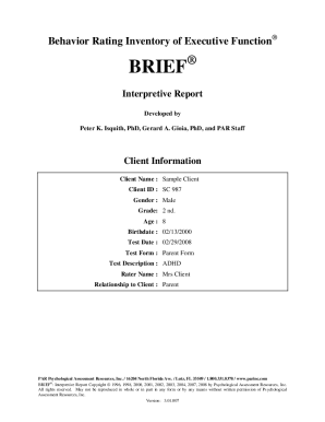 Brief a Questionnaire PDF  Form
