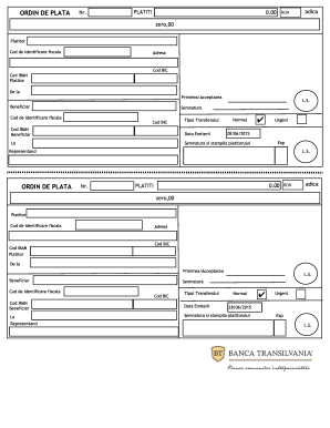 Ashley Furman Original Droop Plata Form - Fill Out and Sign Printable PDF Template | signNow