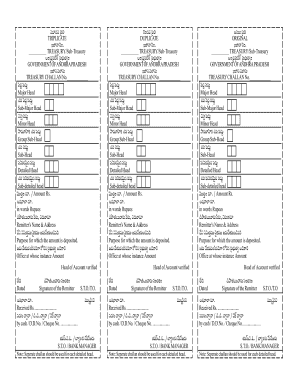 Telangana Treasury Challan Form Download PDF