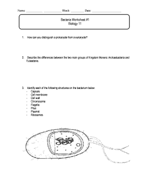 Kingdom Monera Worksheet  Form