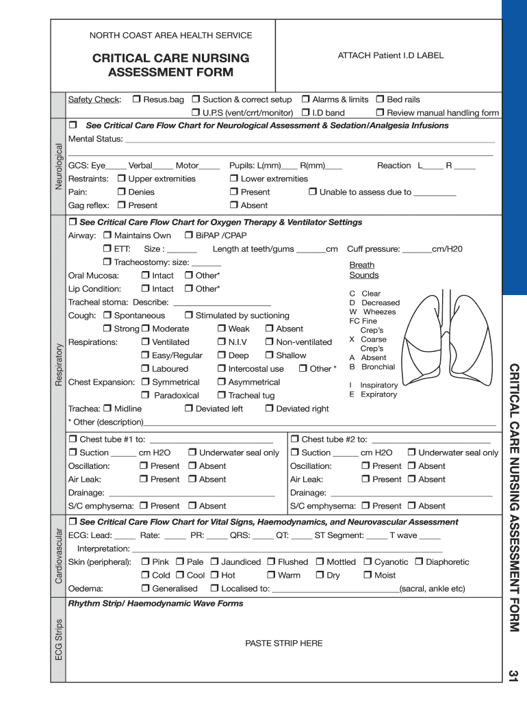 Critical Care Assessment Form