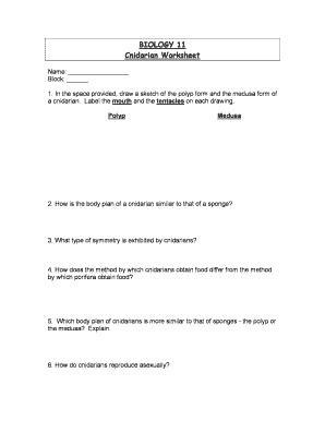 Cnidarian Worksheet  Form