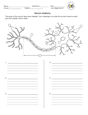 Ask a Biologist Neuron Anatomy Activity  Form