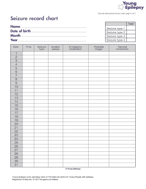 Seizure Chart PDF  Form