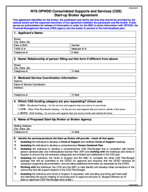 Opwdd Self Direction Budget Template  Form