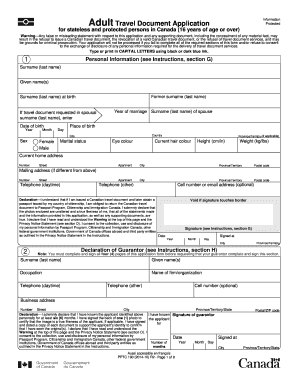 Adult Travel Document  Form