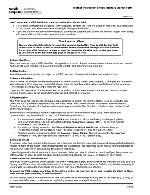 Wsib Intent Object Form