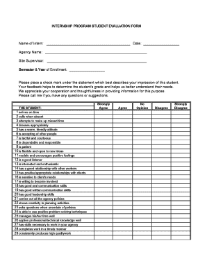 Internship Program Evaluation Form
