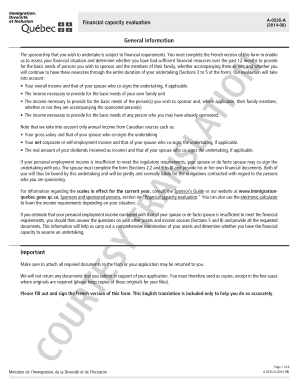 Financial Capacity Assessment Example  Form