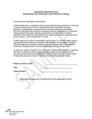 Sample Attestation Statement  Form