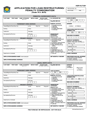 Hl Restructuring Application  Form