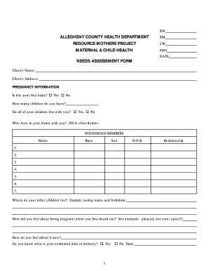 Maternal and Child Health Needs Assessment Form Allegheny Achd