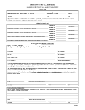  Medical Emergency Form Template 2008
