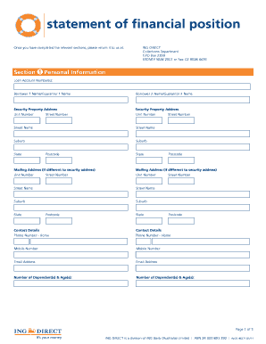 Statement of Financial Position ING Direct  Form