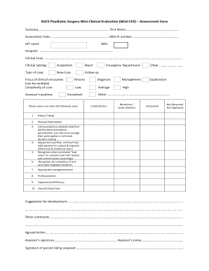 Mini Cex Form PDF