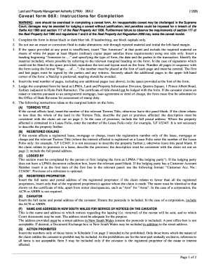 Fill Insrtuctions Lpi Form 08x