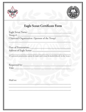 Scout Certificate PDF  Form