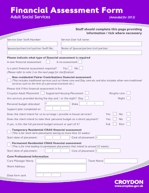 Financial Assessment Template  Form