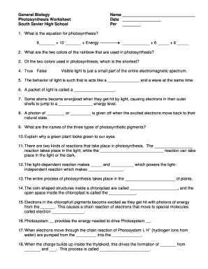 Photosynthesis Worksheet High School  Form