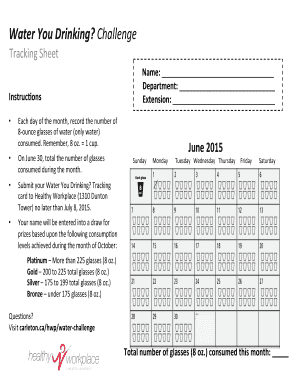 Water You Drinking Challenge  Form