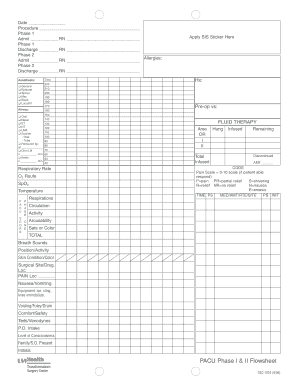 PACU Phase I Amp II Flowsheet Bmhcnetbbnetb  Form