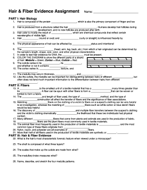 Hair Fiber Evidence Worksheet Answer Key  Form