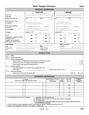 Basic Taxpayer Information ORG6 PERSONAL INFORMATION