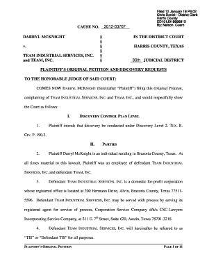 Original Petition Wrongful Termination Petition  Form