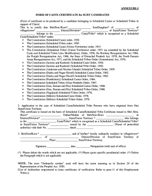Sc St Central Caste Certificate Format PDF
