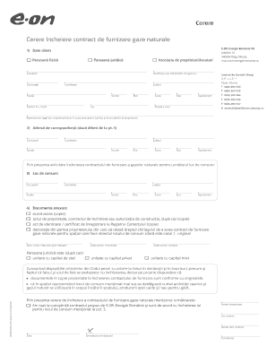 Reinnoire Contract Eon  Form